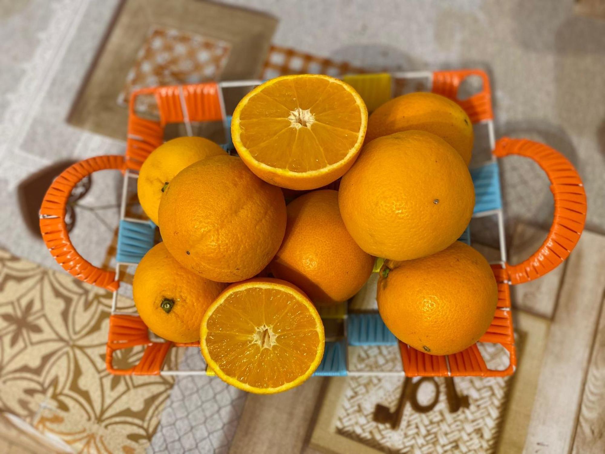 I Feel Orange Hotel Legnano Ngoại thất bức ảnh